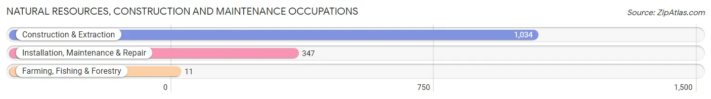 Natural Resources, Construction and Maintenance Occupations in Zip Code 14304