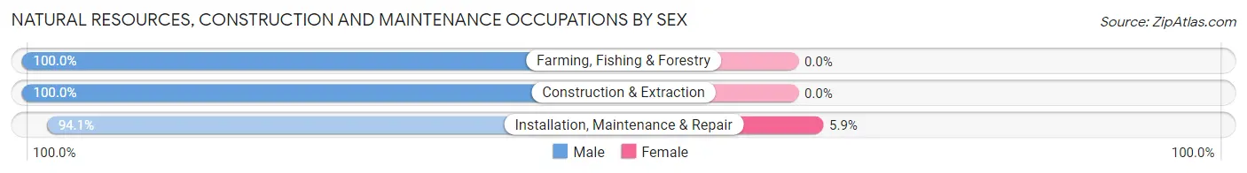 Natural Resources, Construction and Maintenance Occupations by Sex in Zip Code 14420