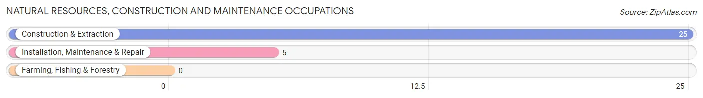 Natural Resources, Construction and Maintenance Occupations in Zip Code 14462