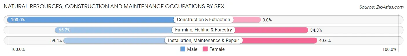 Natural Resources, Construction and Maintenance Occupations by Sex in Zip Code 14505
