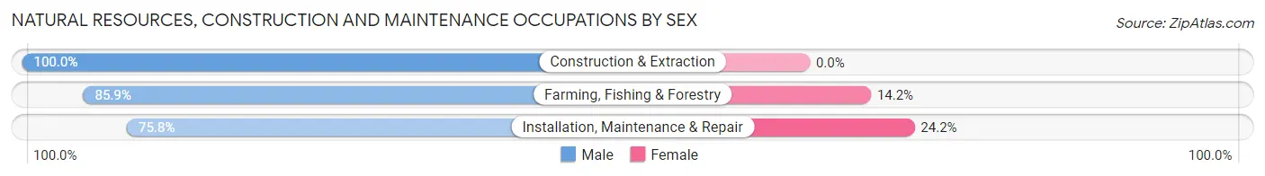 Natural Resources, Construction and Maintenance Occupations by Sex in Zip Code 14591