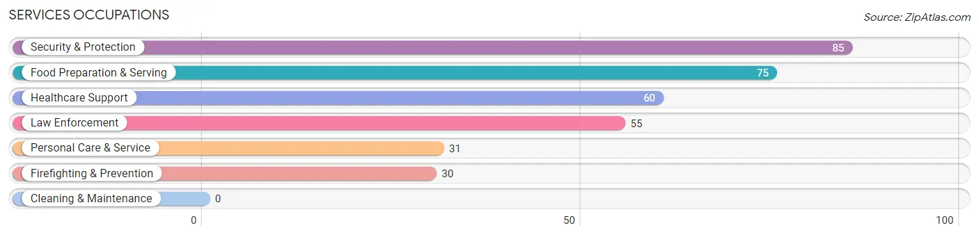 Services Occupations in Zip Code 14604