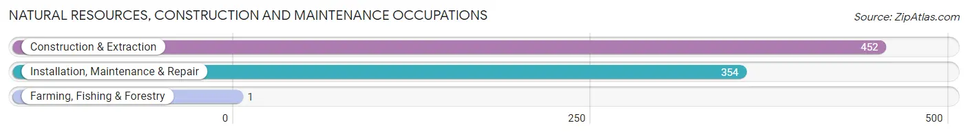 Natural Resources, Construction and Maintenance Occupations in Zip Code 14606