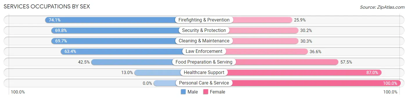 Services Occupations by Sex in Zip Code 14606