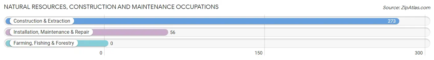 Natural Resources, Construction and Maintenance Occupations in Zip Code 14607