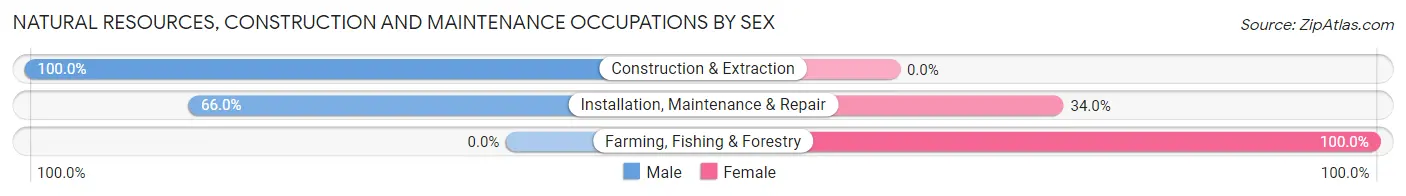 Natural Resources, Construction and Maintenance Occupations by Sex in Zip Code 14618