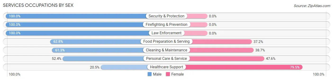 Services Occupations by Sex in Zip Code 14620