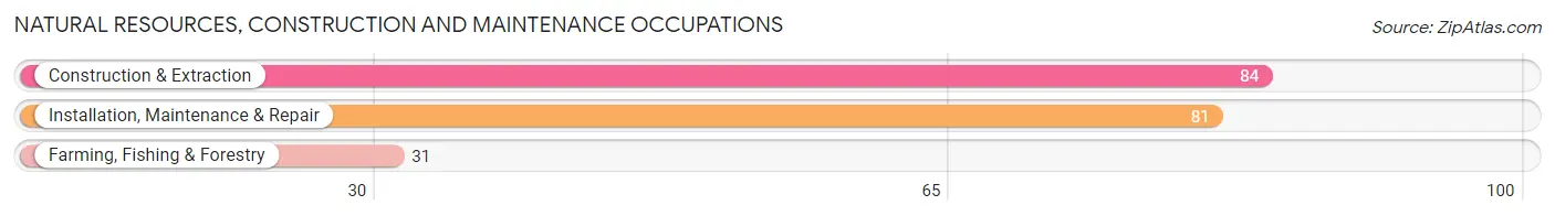 Natural Resources, Construction and Maintenance Occupations in Zip Code 14727