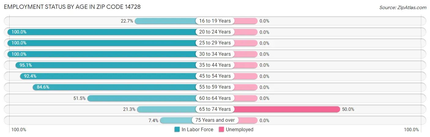 Employment Status by Age in Zip Code 14728