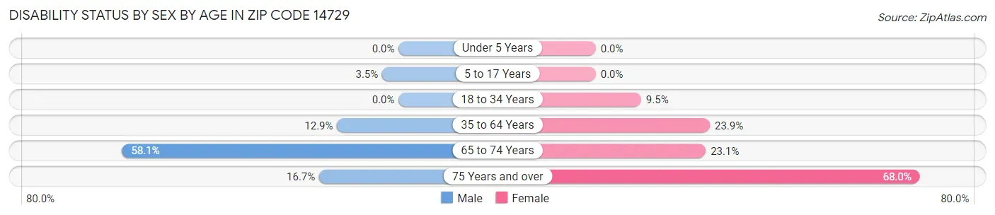 Disability Status by Sex by Age in Zip Code 14729