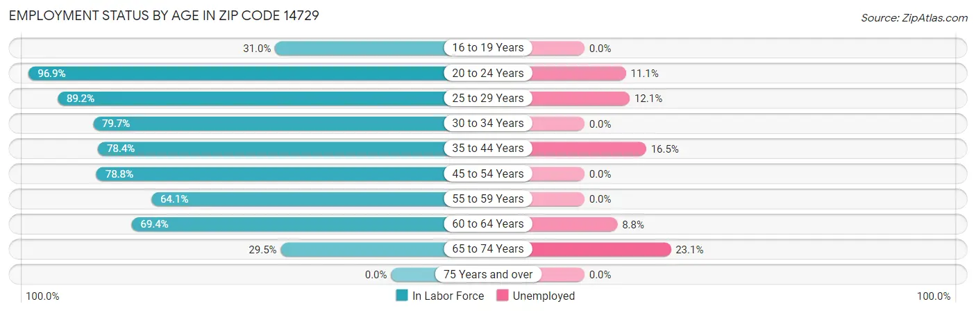 Employment Status by Age in Zip Code 14729