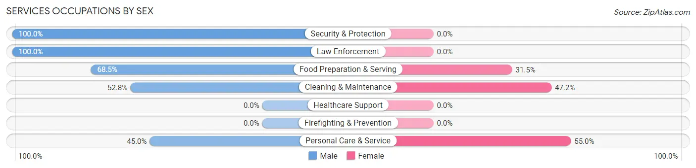 Services Occupations by Sex in Zip Code 14731