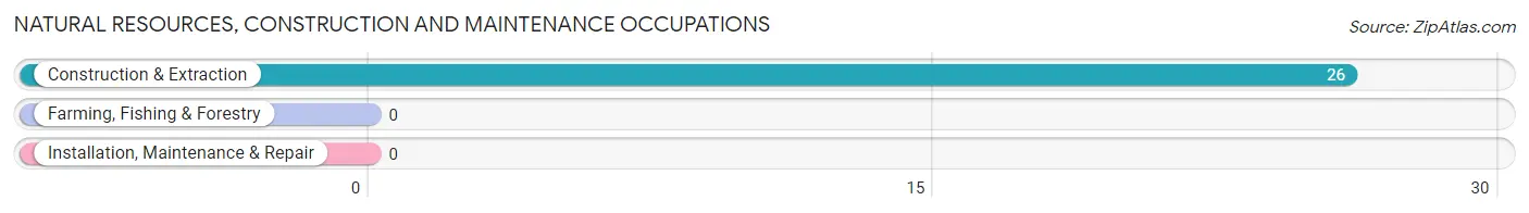 Natural Resources, Construction and Maintenance Occupations in Zip Code 14777