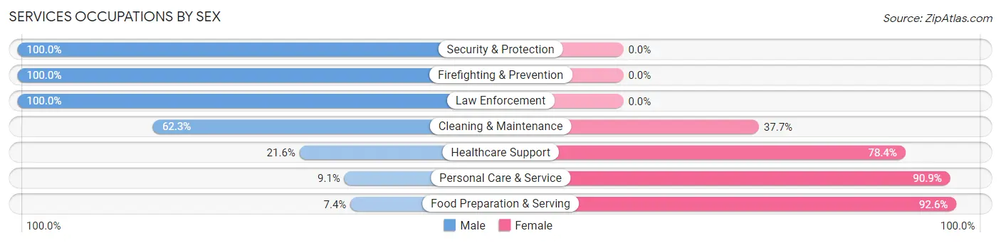 Services Occupations by Sex in Zip Code 14807