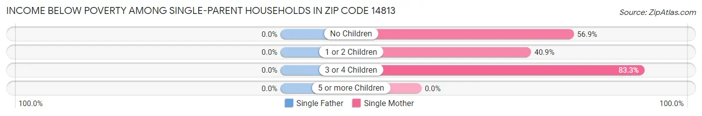 Income Below Poverty Among Single-Parent Households in Zip Code 14813