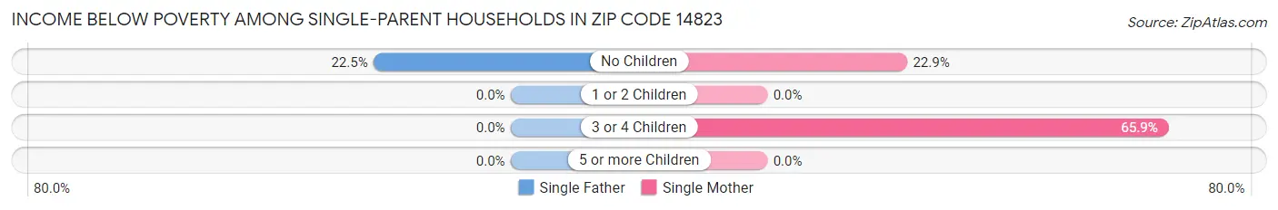 Income Below Poverty Among Single-Parent Households in Zip Code 14823