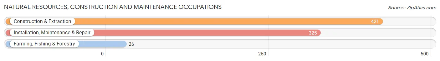 Natural Resources, Construction and Maintenance Occupations in Zip Code 14843