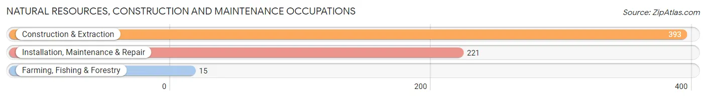 Natural Resources, Construction and Maintenance Occupations in Zip Code 14845