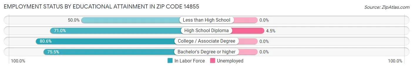 Employment Status by Educational Attainment in Zip Code 14855