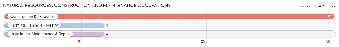 Natural Resources, Construction and Maintenance Occupations in Zip Code 14855