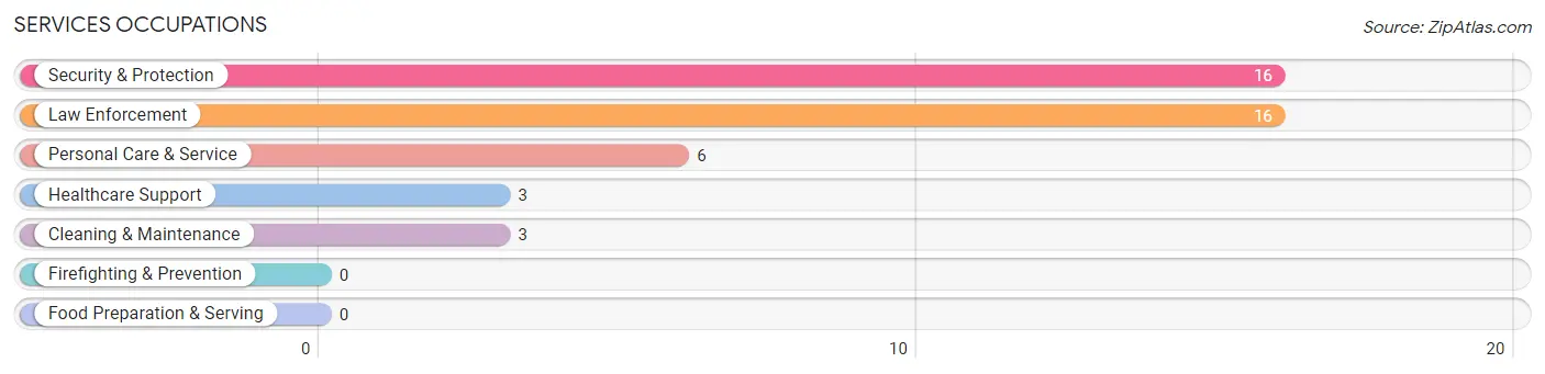 Services Occupations in Zip Code 14855