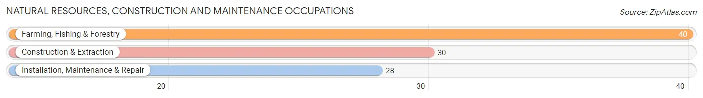 Natural Resources, Construction and Maintenance Occupations in Zip Code 14869