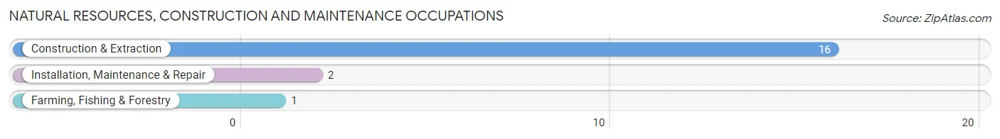 Natural Resources, Construction and Maintenance Occupations in Zip Code 14884