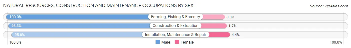 Natural Resources, Construction and Maintenance Occupations by Sex in Zip Code 14895