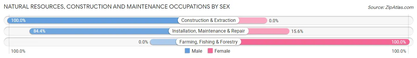 Natural Resources, Construction and Maintenance Occupations by Sex in Zip Code 14901