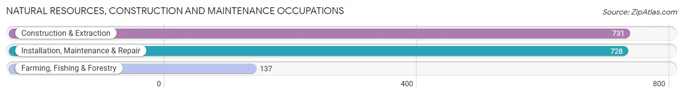 Natural Resources, Construction and Maintenance Occupations in Zip Code 15001