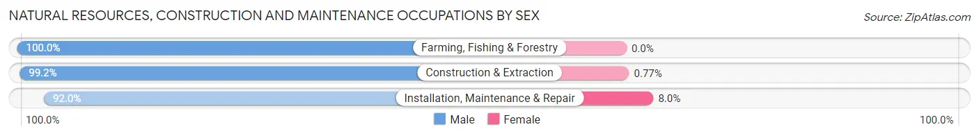Natural Resources, Construction and Maintenance Occupations by Sex in Zip Code 15010