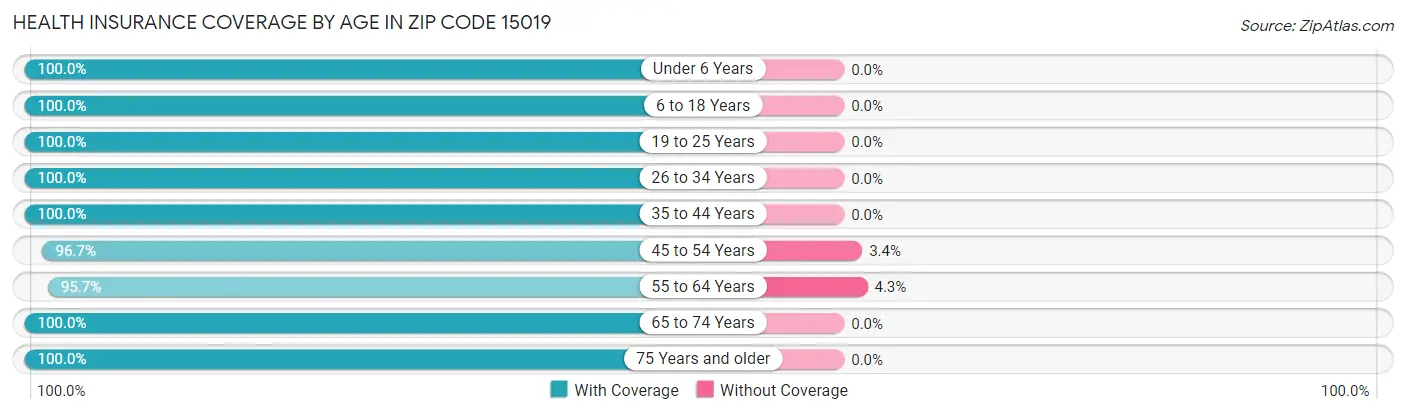 Health Insurance Coverage by Age in Zip Code 15019