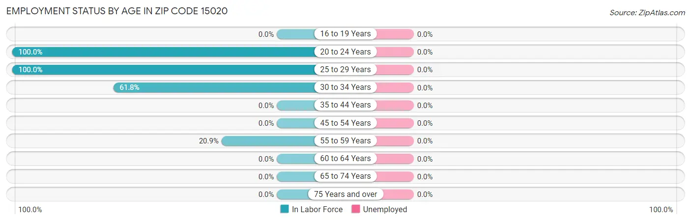 Employment Status by Age in Zip Code 15020