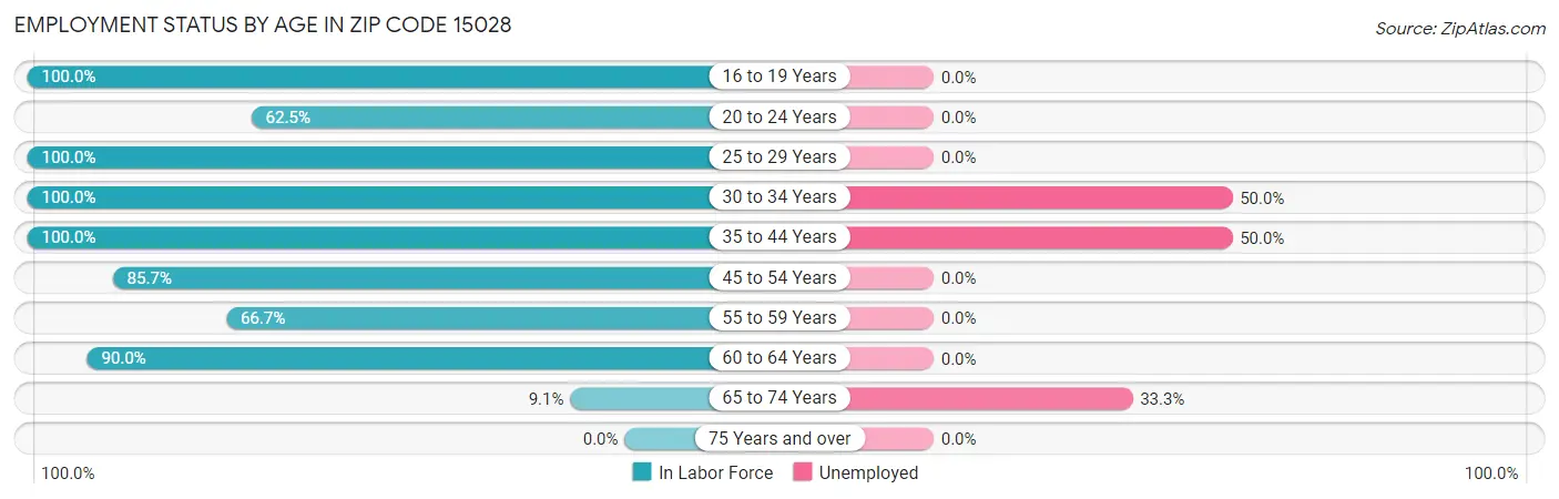 Employment Status by Age in Zip Code 15028
