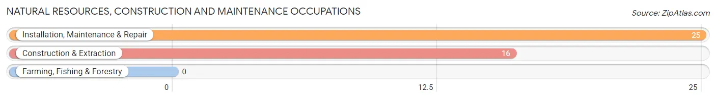 Natural Resources, Construction and Maintenance Occupations in Zip Code 15030