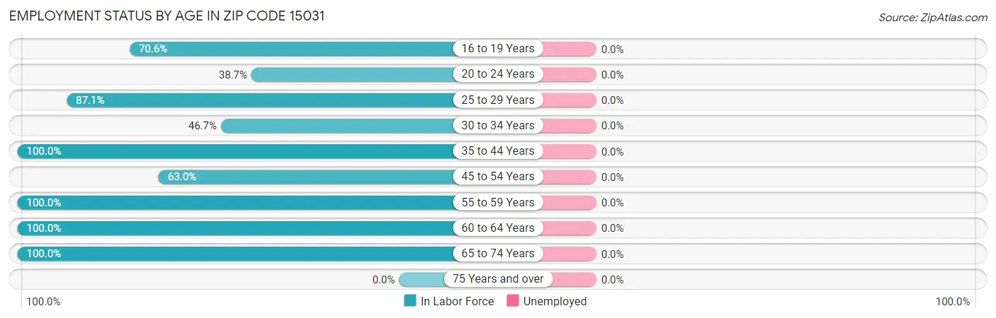 Employment Status by Age in Zip Code 15031