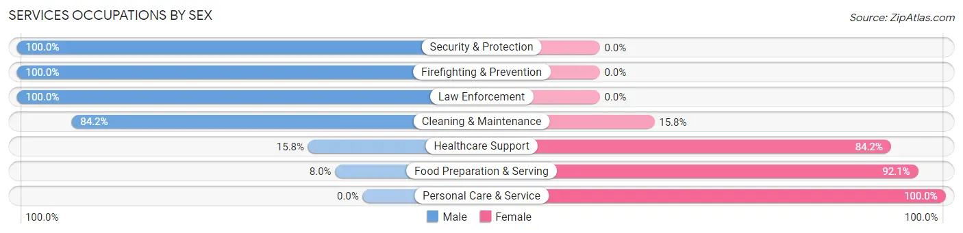 Services Occupations by Sex in Zip Code 15043
