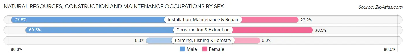 Natural Resources, Construction and Maintenance Occupations by Sex in Zip Code 15059