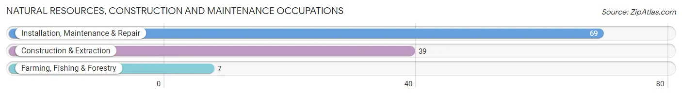 Natural Resources, Construction and Maintenance Occupations in Zip Code 15062