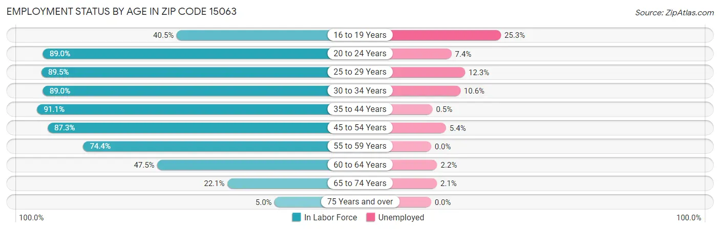 Employment Status by Age in Zip Code 15063