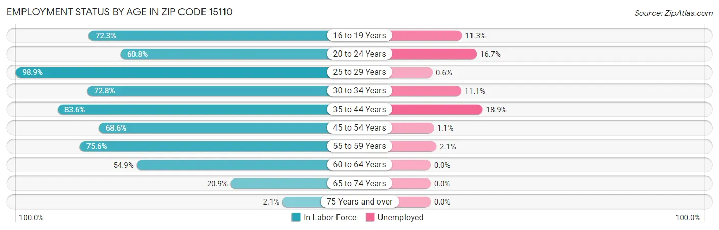 Employment Status by Age in Zip Code 15110