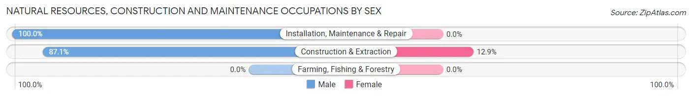 Natural Resources, Construction and Maintenance Occupations by Sex in Zip Code 15110