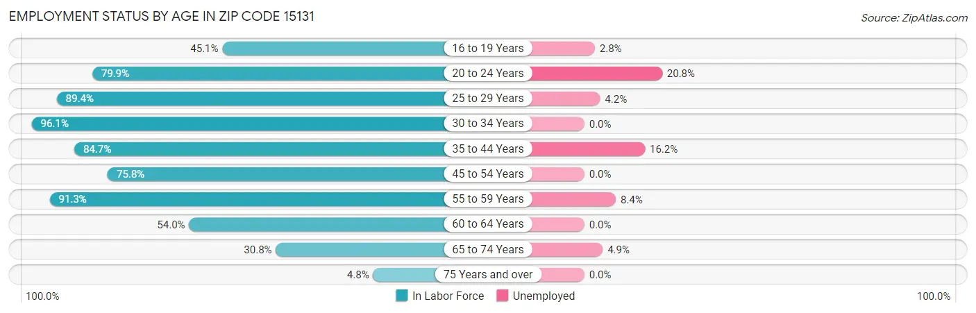 Employment Status by Age in Zip Code 15131