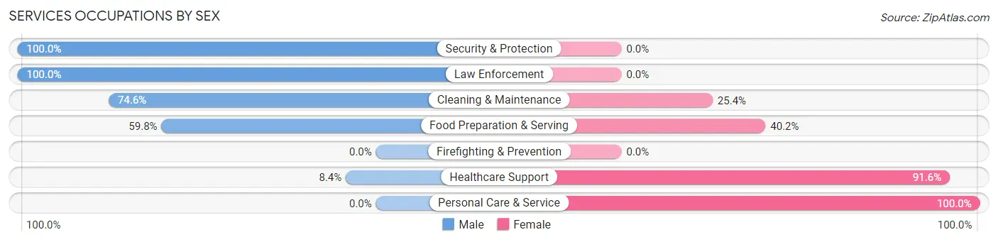 Services Occupations by Sex in Zip Code 15140