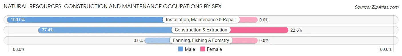 Natural Resources, Construction and Maintenance Occupations by Sex in Zip Code 15145