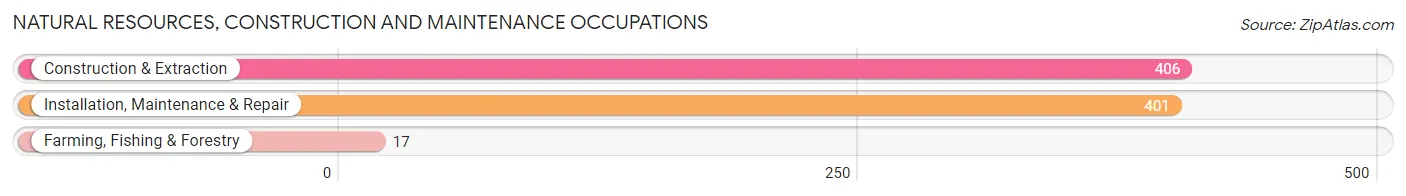 Natural Resources, Construction and Maintenance Occupations in Zip Code 15146