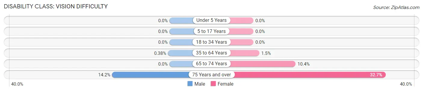 Disability in Zip Code 15203: <span>Vision Difficulty</span>