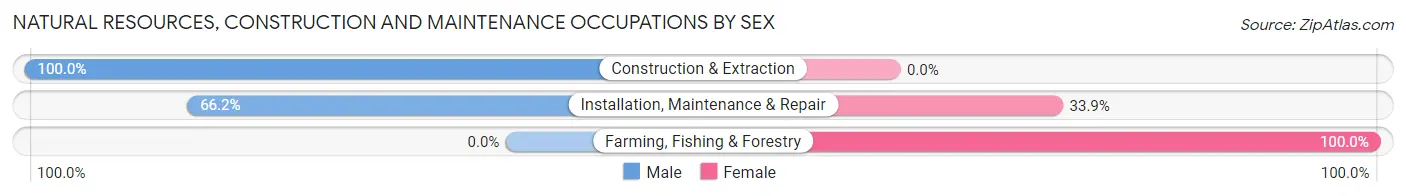 Natural Resources, Construction and Maintenance Occupations by Sex in Zip Code 15204