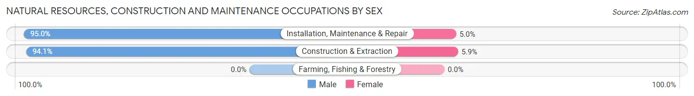 Natural Resources, Construction and Maintenance Occupations by Sex in Zip Code 15209