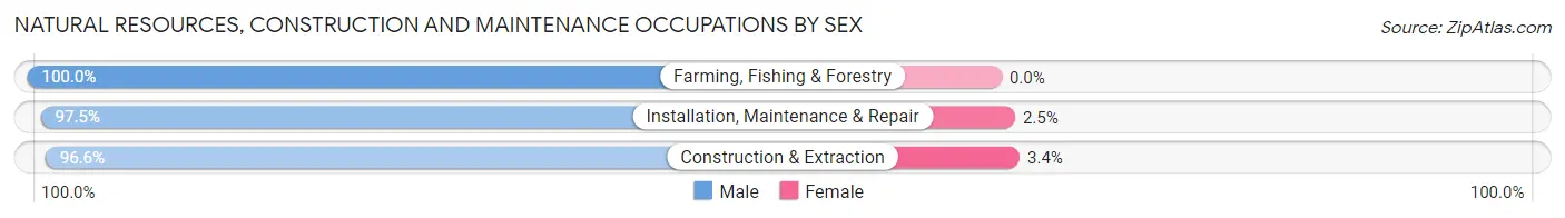 Natural Resources, Construction and Maintenance Occupations by Sex in Zip Code 15210